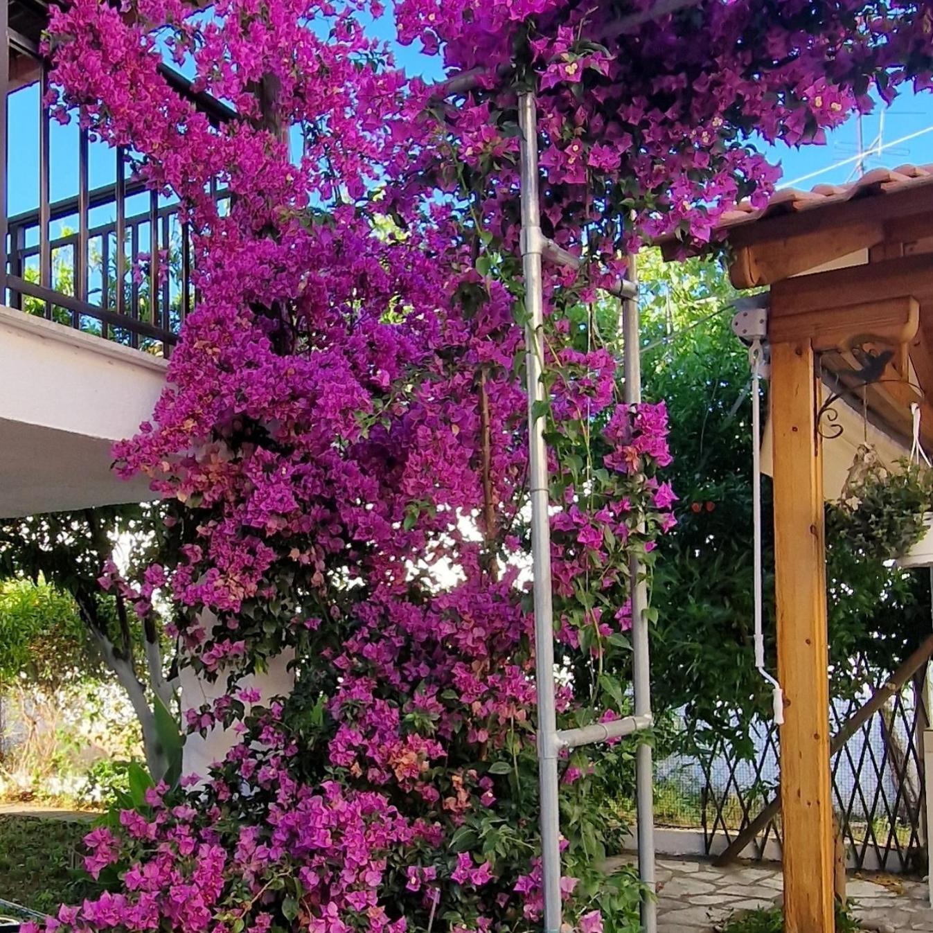 Apartmán Nikolaos House Ágios Nikólaos Exteriér fotografie